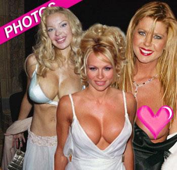 //boob blunders pam andersont tara reid