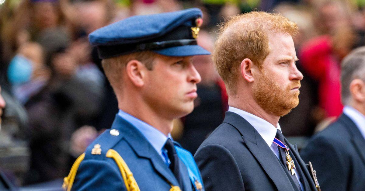 Photo of Prince Harry and William