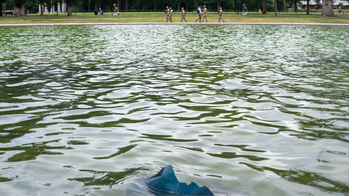A photo of the Reflecting Pool's sealant pulling up