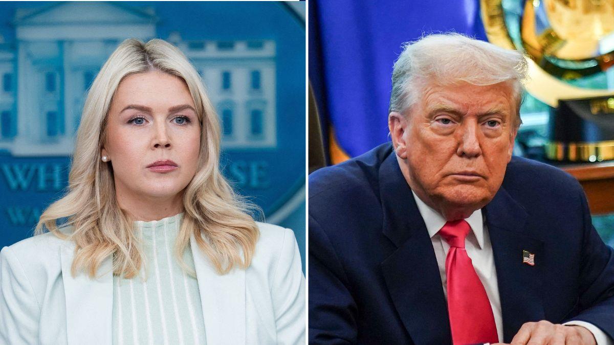 Karoline Leavitt said she was not on Trump's 'political team.'