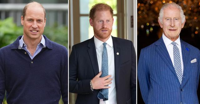 prince william no plans to meet estranged brother harry king charles cancer pp