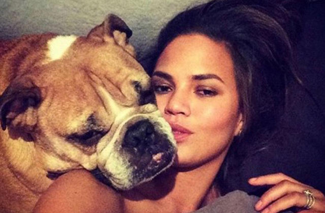 //Chrissy Teigen Dog Death pp