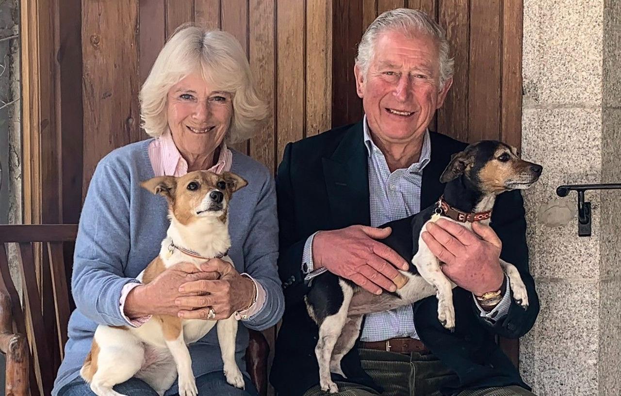 Queen Camilla’s Secret Feud With Prince Williams’s Wife Exposed As King