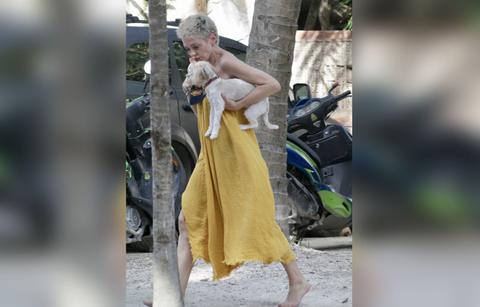 rose mcgowan barefoot moved mexico photos harvey weinstein la jail