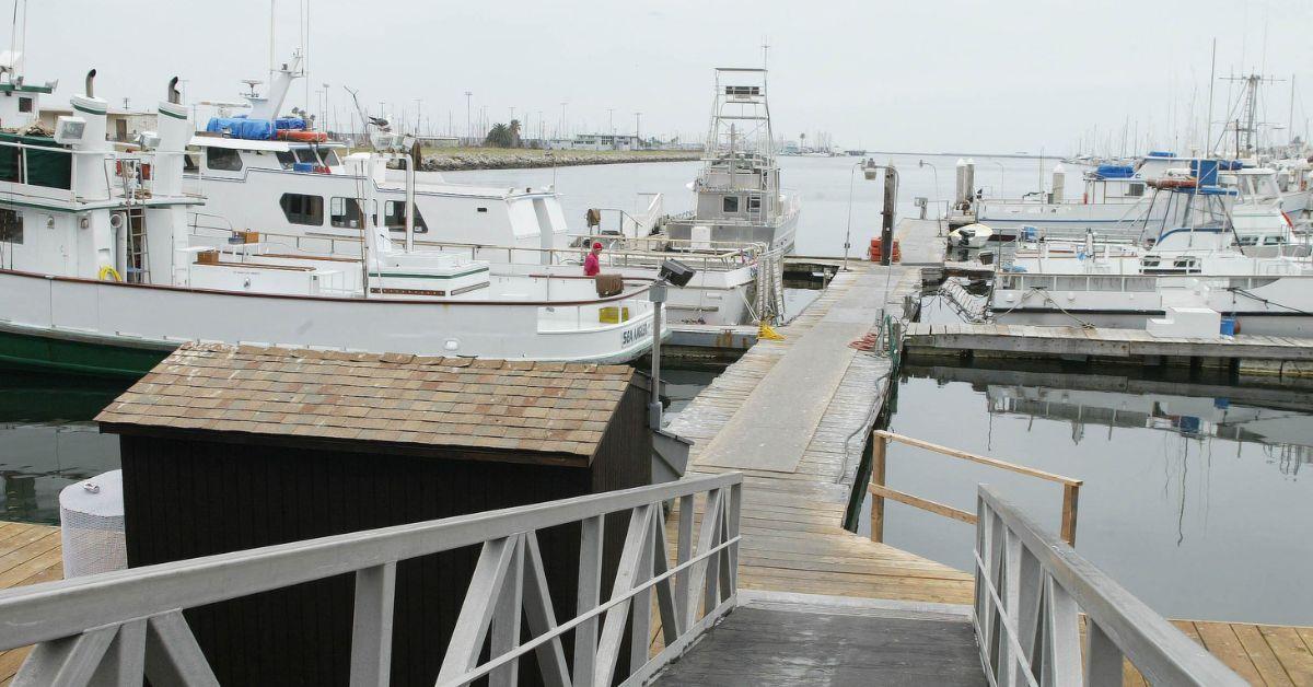 Olivia Newton-John was in Australia when Patrick McDermott disappeared.