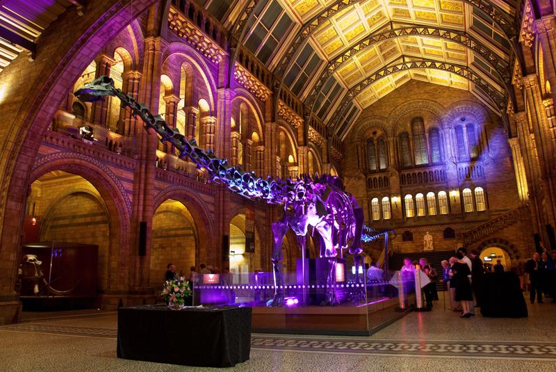 Kate Middleton Prince George Natural History Museum