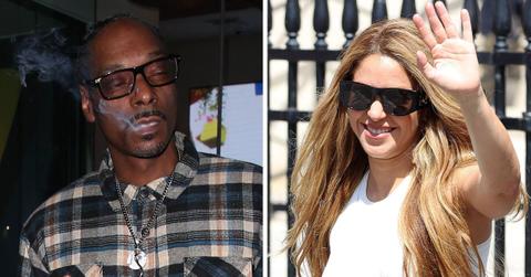 celebrities who were busted by uncle sam for tax issues