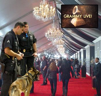 //pp_grammyssecurity_getty