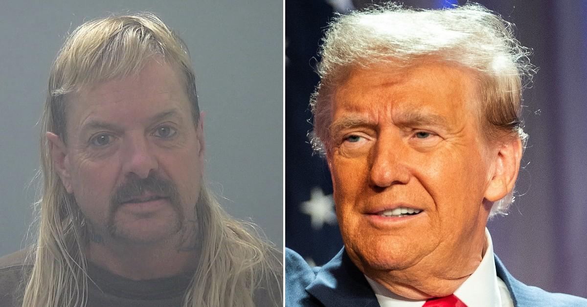 Split photo of Joe Exotic, Donald Trump