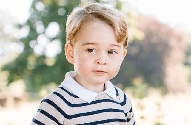 prince george slammed british council