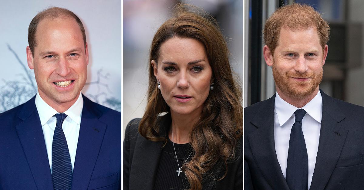 Prince William & Kate Middleton 'Privately Seething' Despite Putting On ...