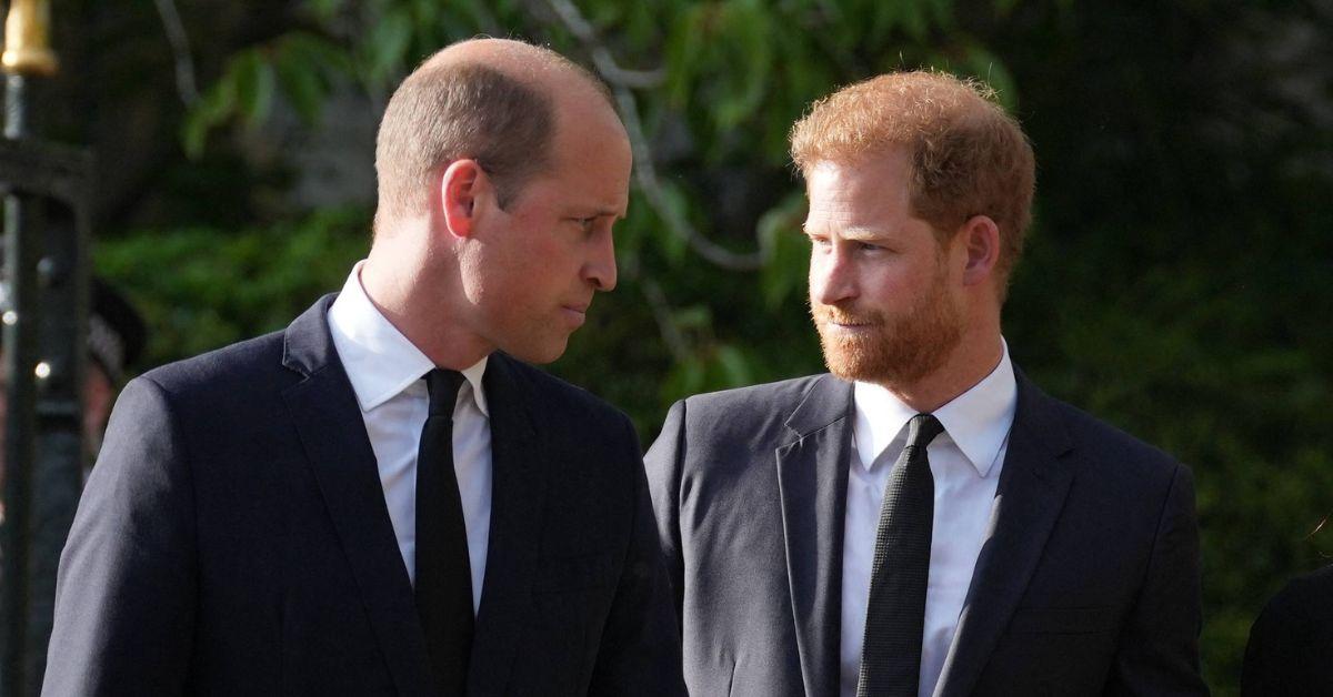 Photo of Prince Harry and Prince William