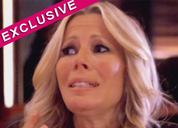 //aviva drescher housewife tough bravo