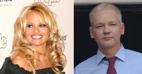 pamela anderson wanted baby wikileaks julian assange