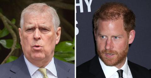 Photo of Prince Andrew, Prince Harry