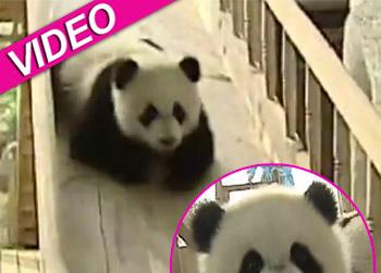 //panda video slide changdu