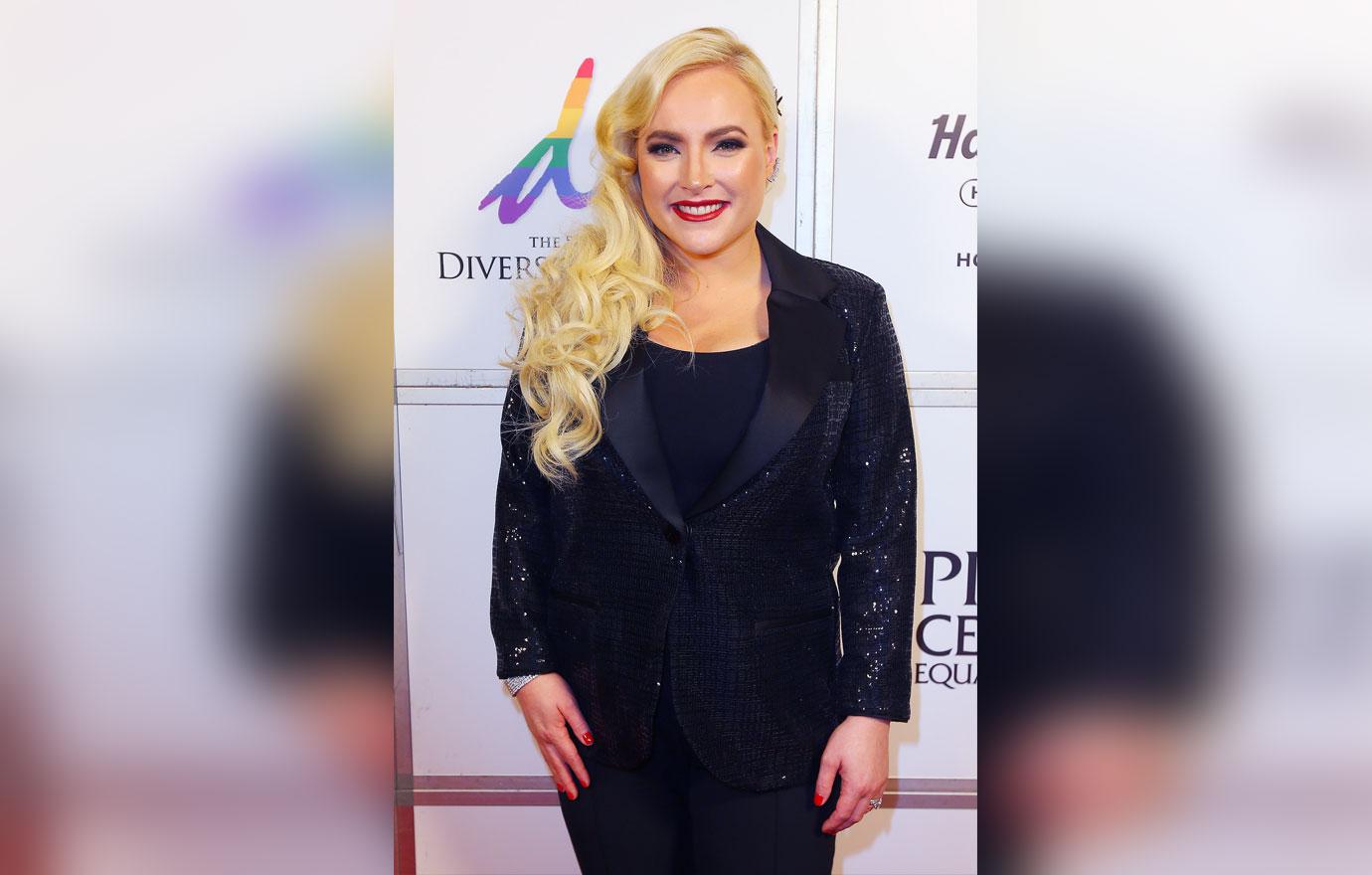 meghan mccain trashes seth meyer memoir claims uncomfortable when she on show pregnant