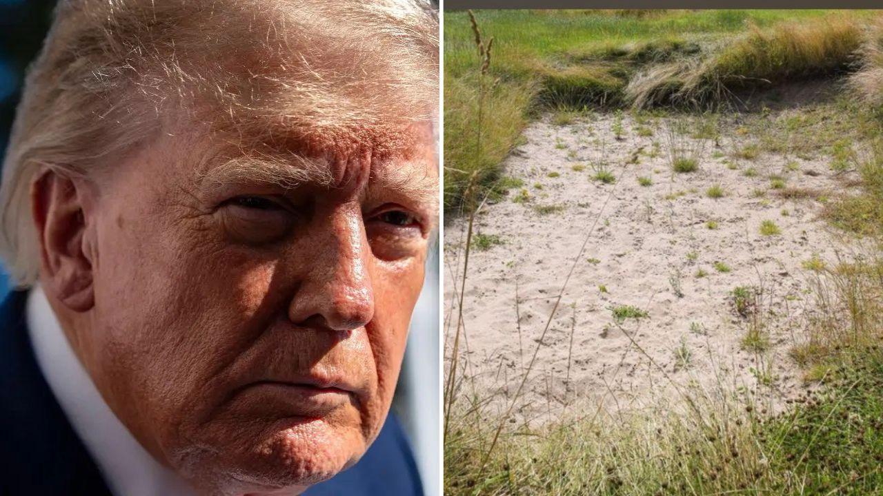 Trump trashed a photo used in The New York Times.