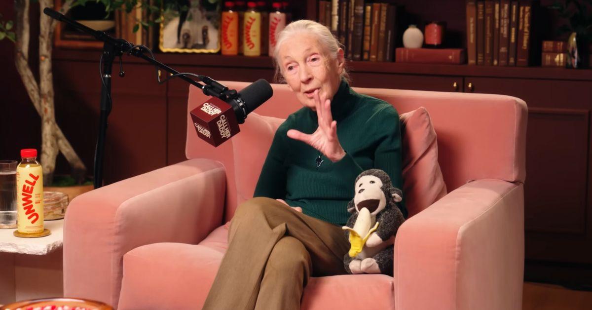 jane goodall