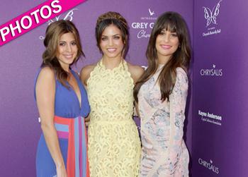 //chyrsalis butterfly ball