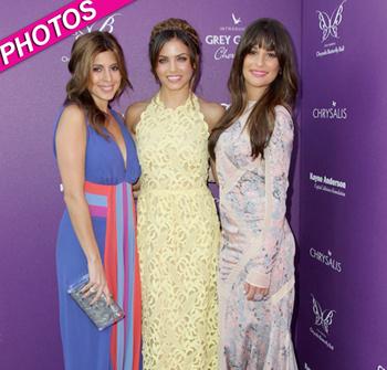 //chyrsalis butterfly ball