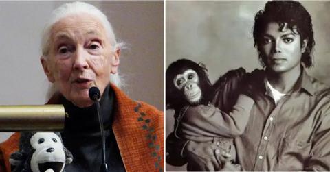 Photo of Jane Goodall , Michael Jackson