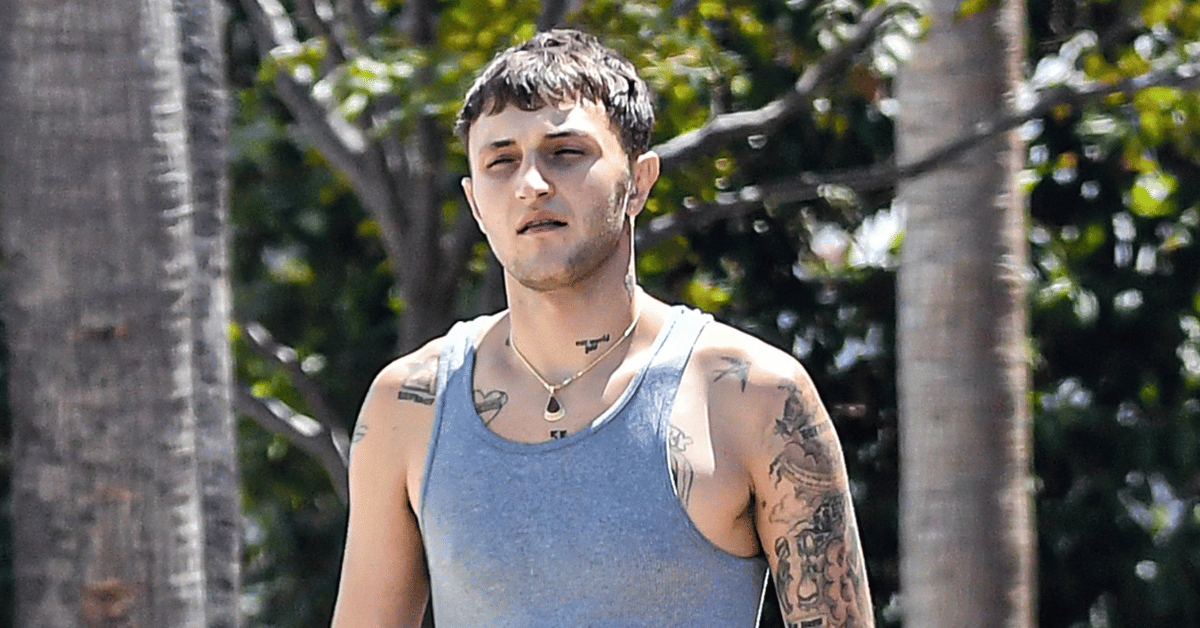 Dua Lipa's ExBoyfriend Anwar Hadid Causes Concern With Threatening(01)