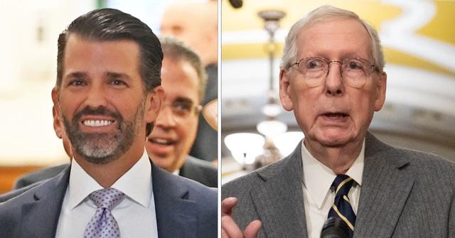 donald trump jr takes swipes at mitch the glitch mcconnell