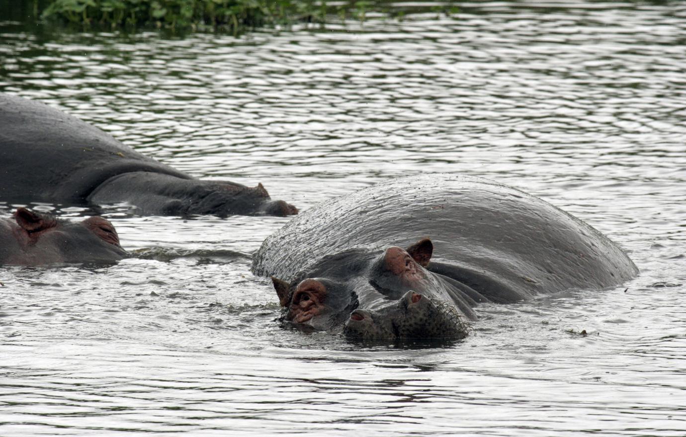 //honeymoontanzania