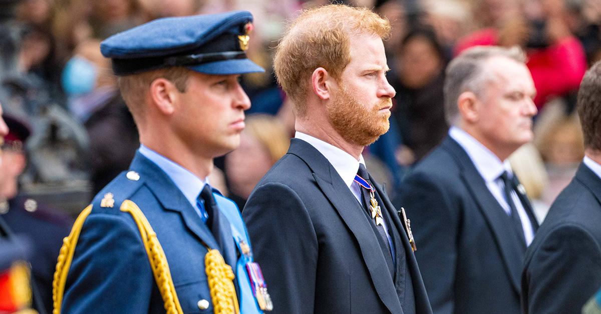 prince harry wants father brother back tom bradby interview