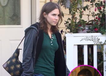 //amanda knox raffaele sollecito reunite splash
