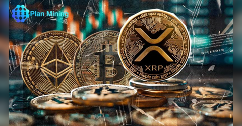 resultuntitled design t