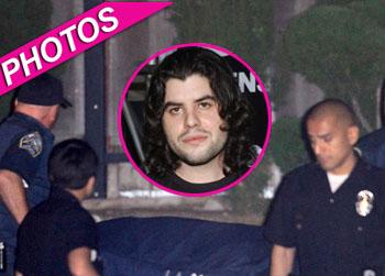 //sage stallone body cfd