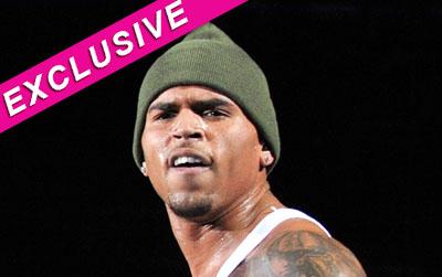 //chris brown hollywood