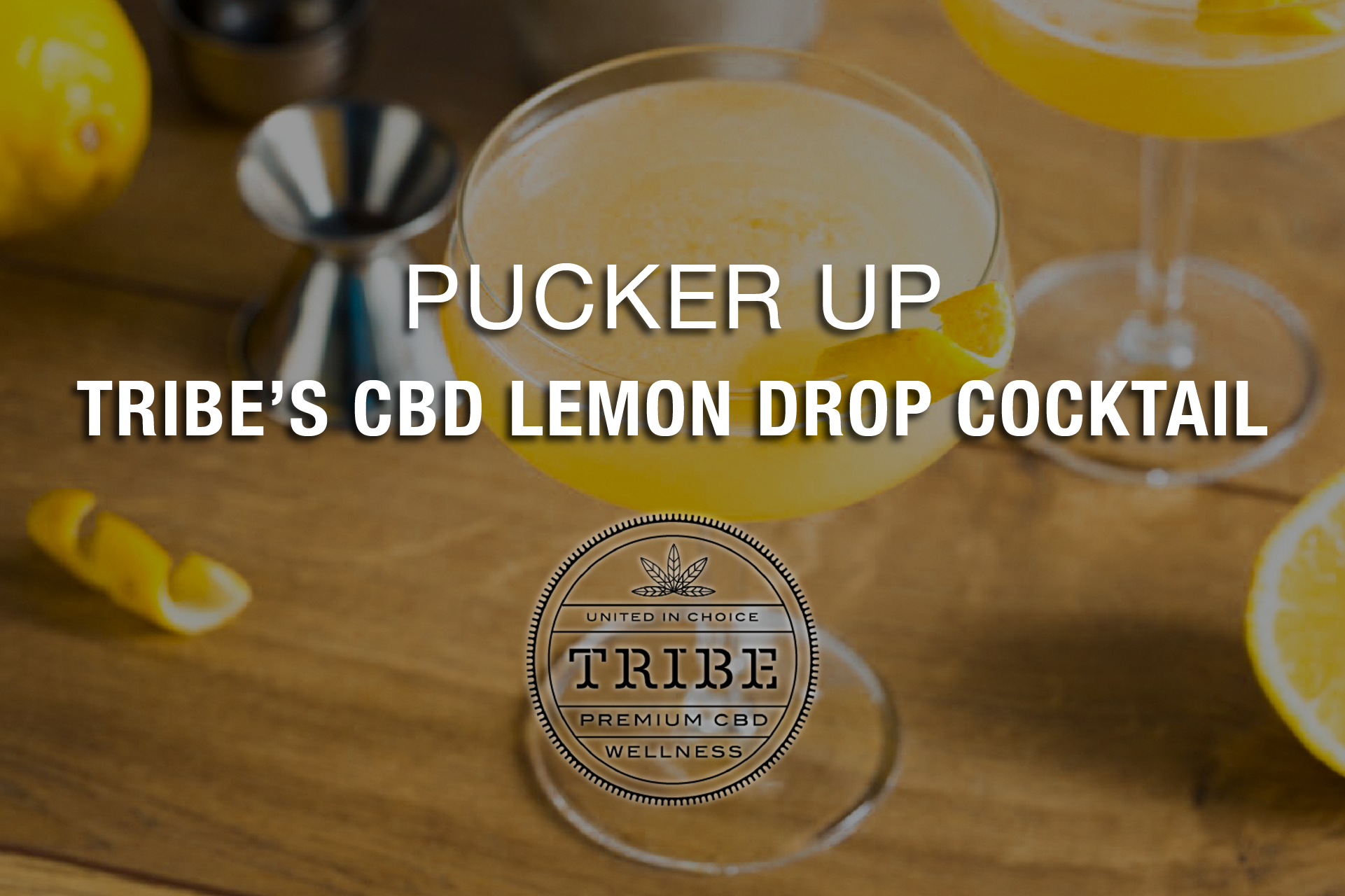 Pucker Up for Tribe’s CBD Lemon Drop Cocktail 