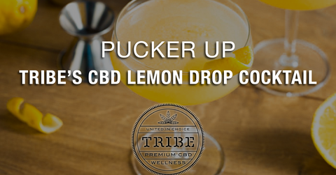 Pucker Up for Tribe’s CBD Lemon Drop Cocktail