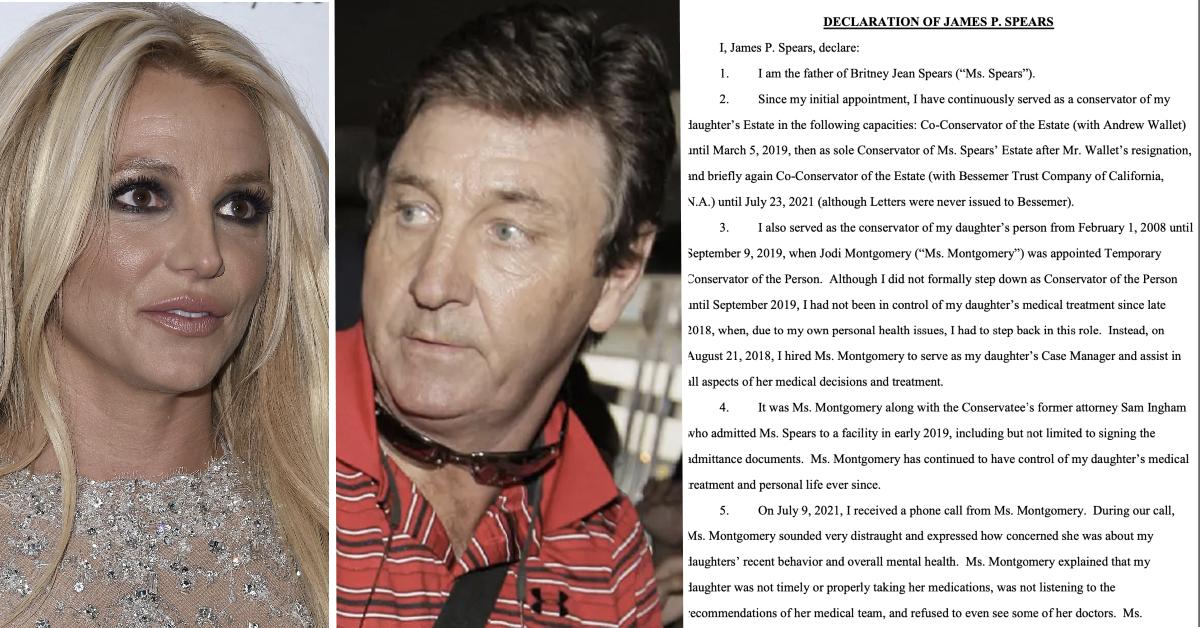 britney spears jamie spears court documents pp