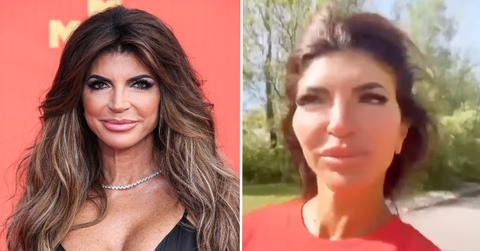 teresa giudice pp