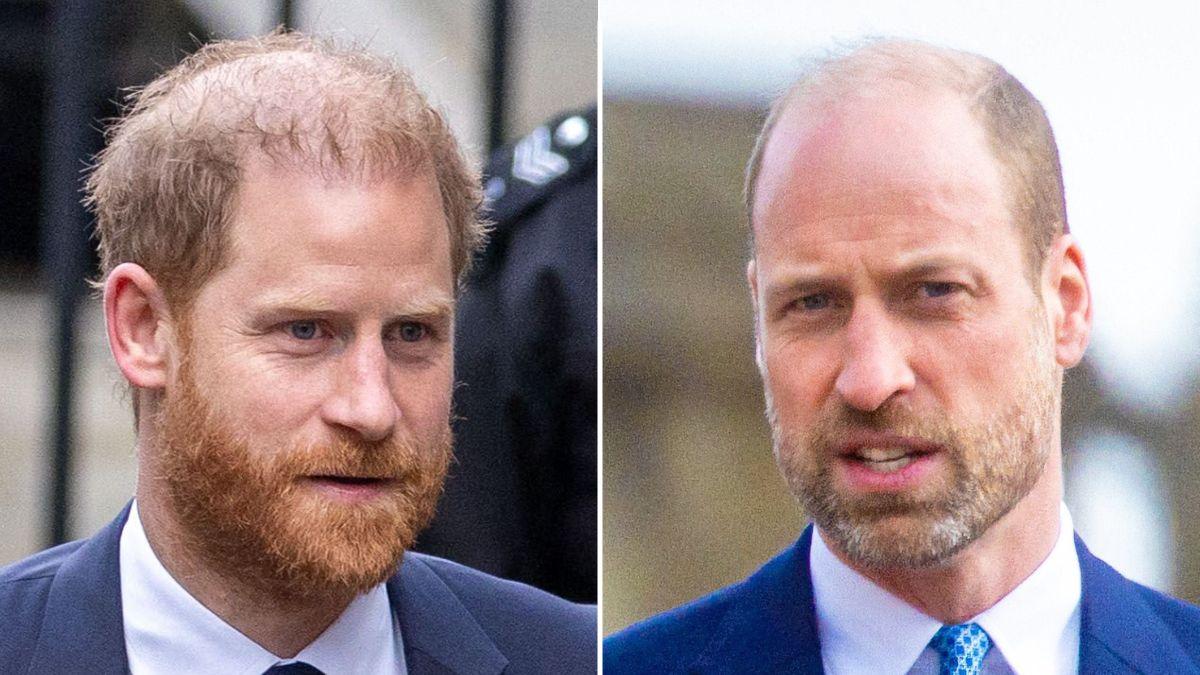 picture of Prince Harry and Prince William