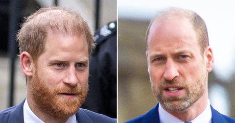 picture of Prince Harry and Prince William