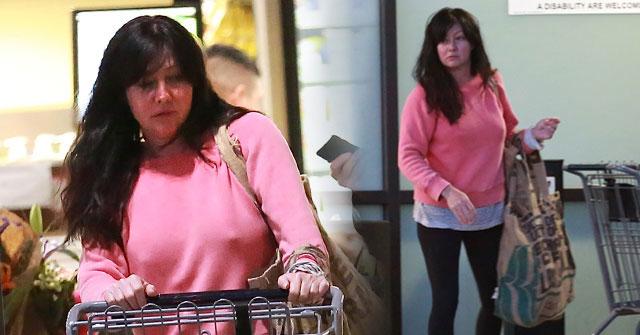 //shannen doherty no makeup breast cancer nipples