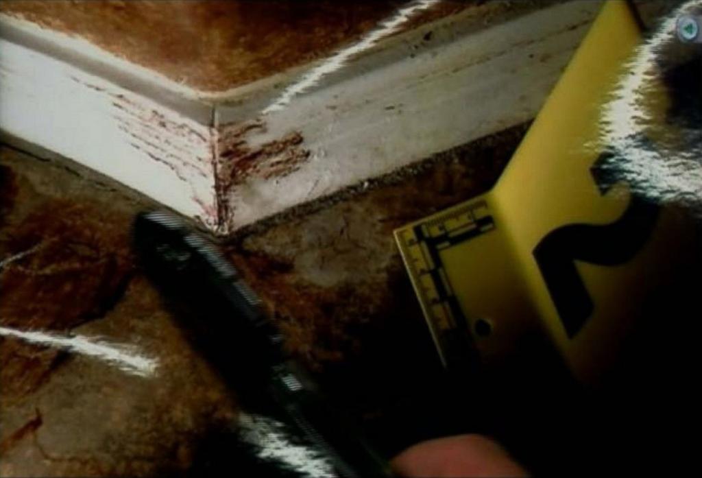 Shocking Jodi Arias Crime Scene Photos