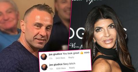 Joe Giudice Calls Teresa 'Sexy B***h' Amid Deportation Appeal Drama