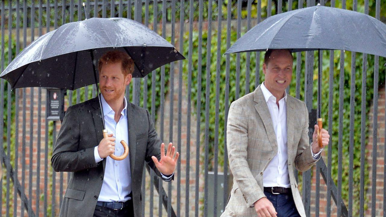 Photo of Prince William and Prince Harry.