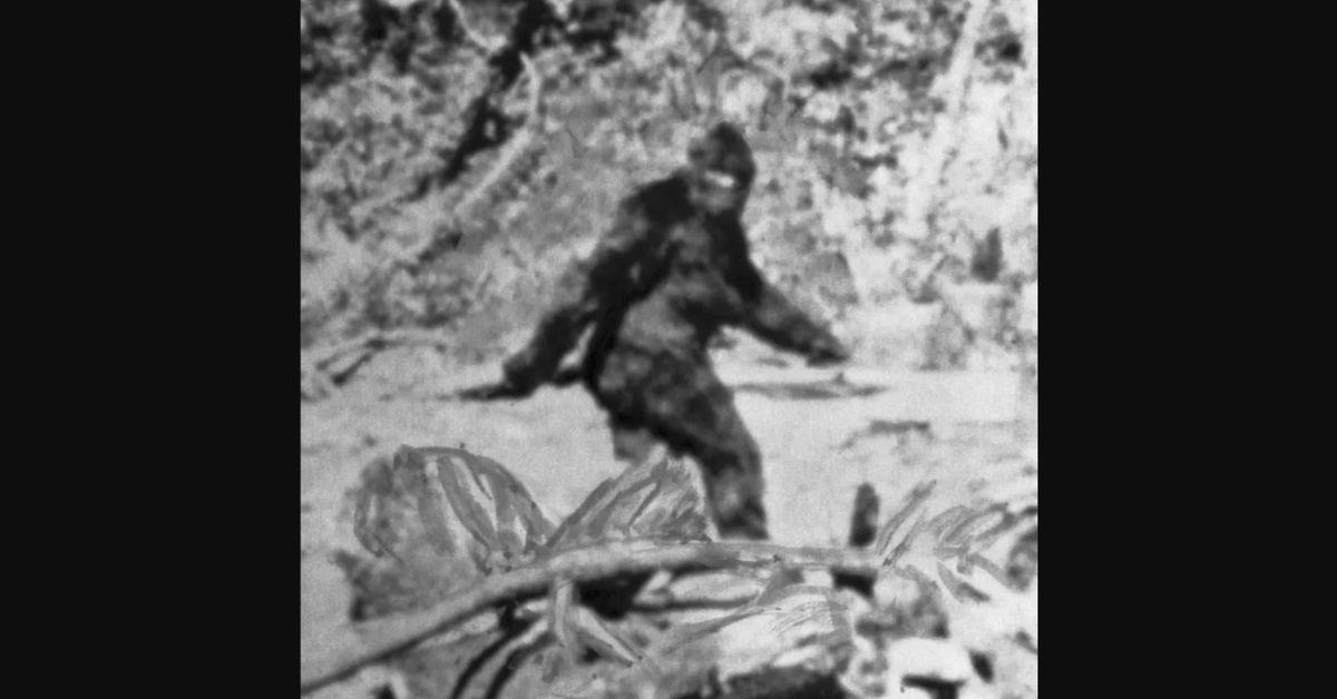 Infamous bigfoot footage from 1967