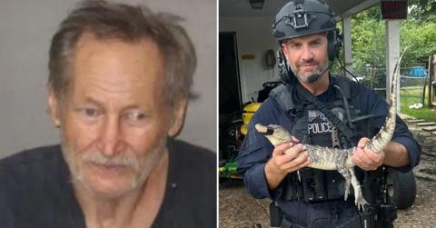 Small Alligator Seized After Standoff With 66-Year-Old Man: Cops