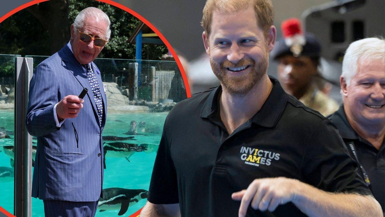 Split photo of Prince Harry and King Charles