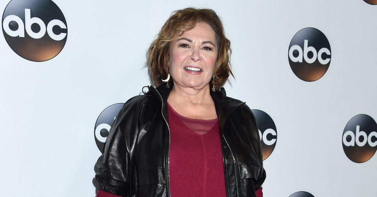 roseanne barr comeback new show hollywood shakeup