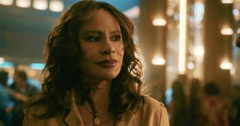 sofia vergara netflix