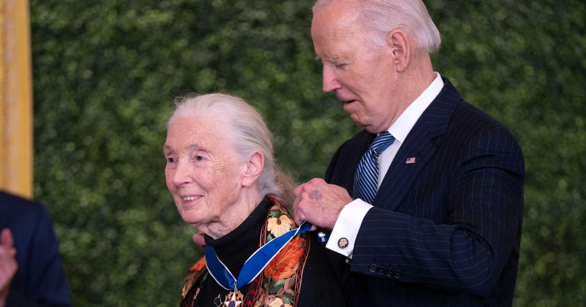 jane goodall